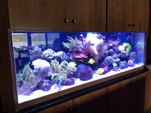 Aquarium «Johns Corals & Aquariums», reviews and photos, 121 Kinderkamack Rd, River Edge, NJ 07661, USA