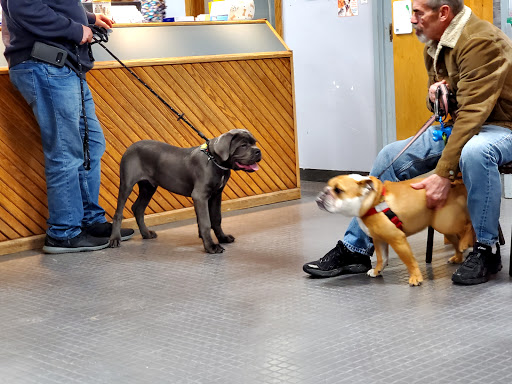 North Shore Animal Hospital image