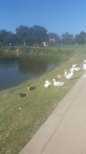 Public Swimming Pool «Splashville», reviews and photos, 850 S Graham Ave, Stephenville, TX 76401, USA