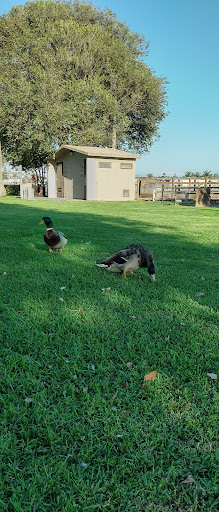 Park «Mary Harrington Park», reviews and photos, 201 Dolliver St, Pismo Beach, CA 93449, USA