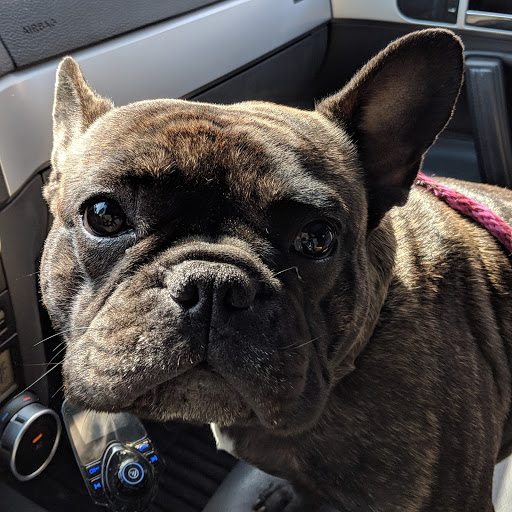 Lounge «White Owl Social Club», reviews and photos, 1305 SE 8th Ave, Portland, OR 97214, USA