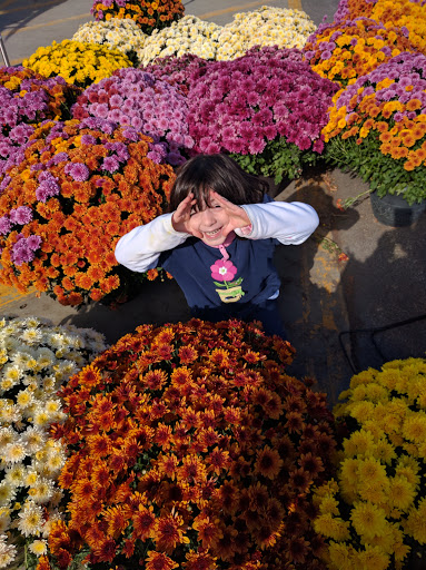 Home Improvement Store «The Home Depot», reviews and photos, 390 West St, Mansfield, MA 02048, USA