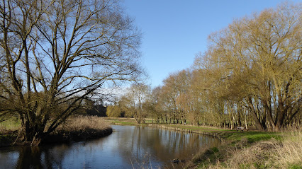 Odense Å