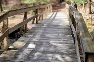 Rines Forest Trailhead image