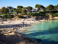 Cala Esmeralda Plajı'in fotoğrafı vahşi alan