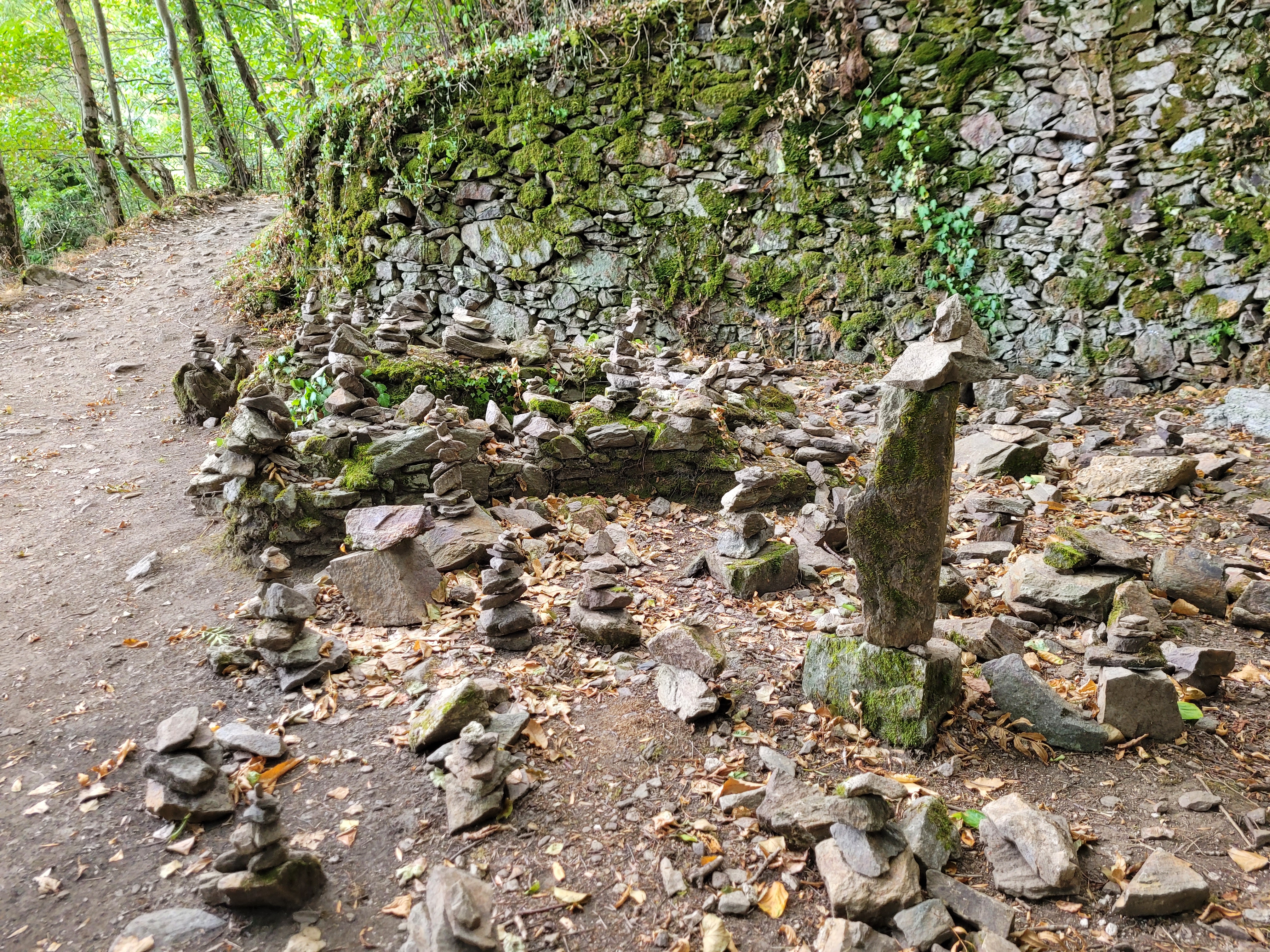 Photo n° 7 de l'avis de Thomas.a fait le 13/09/2022 à 13:34