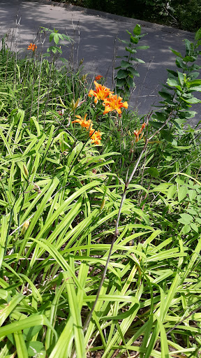 Park «Grandview Park», reviews and photos, 3230 Easton Blvd, Des Moines, IA 50317, USA