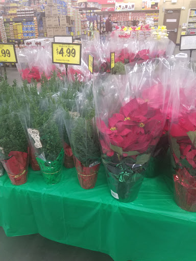 Grocery Store «Grocery Outlet Bargain Market», reviews and photos, 1000 Main St, Watsonville, CA 95076, USA