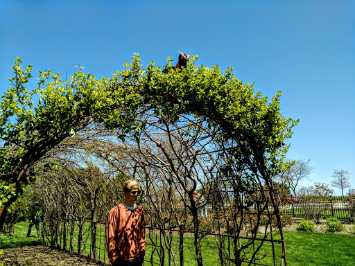 Art Museum «Villa Terrace Decorative Arts Museum», reviews and photos, 2220 N Terrace Ave, Milwaukee, WI 53202, USA