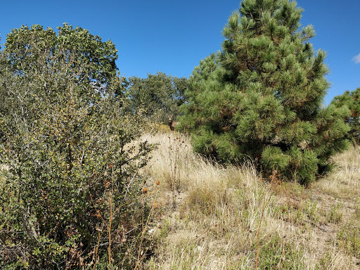 Park «Rudy Park», reviews and photos, 5360 Cracker Barrel Cir, Colorado Springs, CO 80917, USA