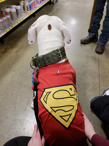 Pet Supply Store «PetSmart», reviews and photos, 8500 N Evanston Ave, Kansas City, MO 64157, USA