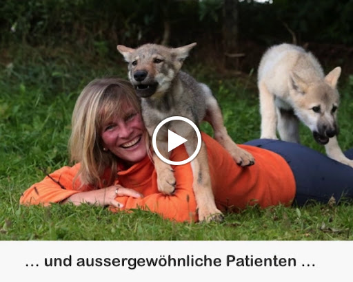 IUVET Dr.med.vet. Doris Timmann unter Pinneberg, Schleswig-Holstein