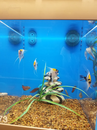 Pet Supply Store «PetSmart», reviews and photos, 10 Hazard Ave, Enfield, CT 06082, USA