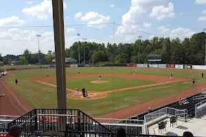 Lexington County Baseball Stadium- Blowfish image