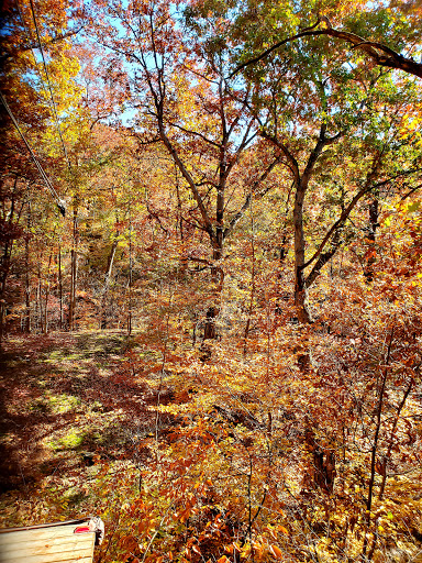 Tourist Attraction «ZipZone Canopy Tours», reviews and photos, 7925 N High St, Columbus, OH 43235, USA