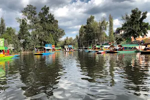 Magical Xochimilco Trajineras image