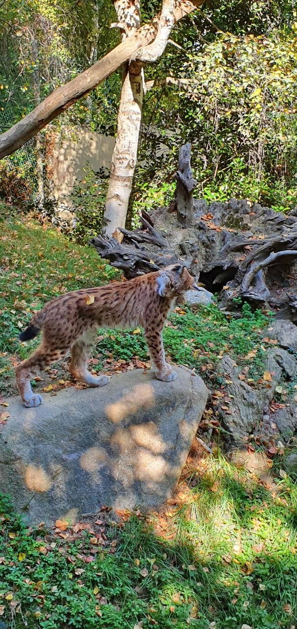 Photo n° 9 de l'avis de Jean.a fait le 18/05/2023 à 12:05