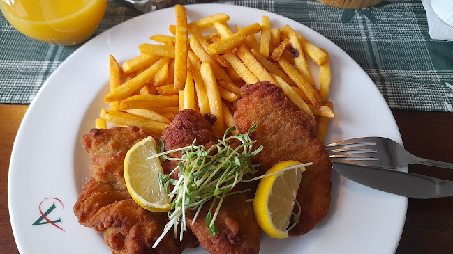 Hunty Fish - Lednické Rovne - Trenčín