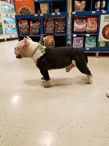 Pet Supply Store «PetSmart», reviews and photos, 11331 Causeway Blvd, Brandon, FL 33511, USA