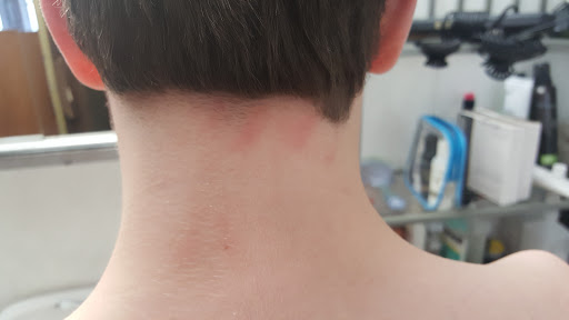 Hair Salon «Great Clips», reviews and photos, 4312 Lincolnway Ct C, Sterling, IL 61081, USA