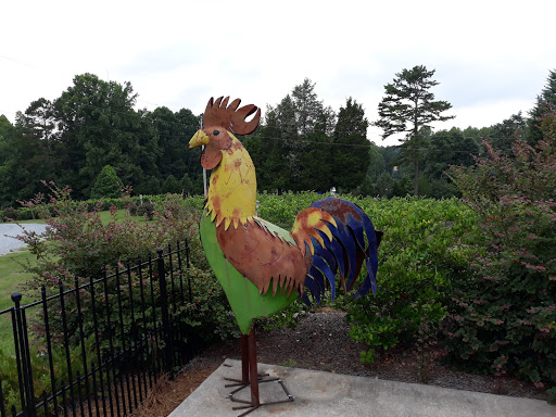 Winery «Weathervane Winery», reviews and photos, 1452 Welcome-Arcadia Rd, Lexington, NC 27295, USA