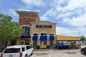 Blue Goose Cantina Mexican Restaurant image