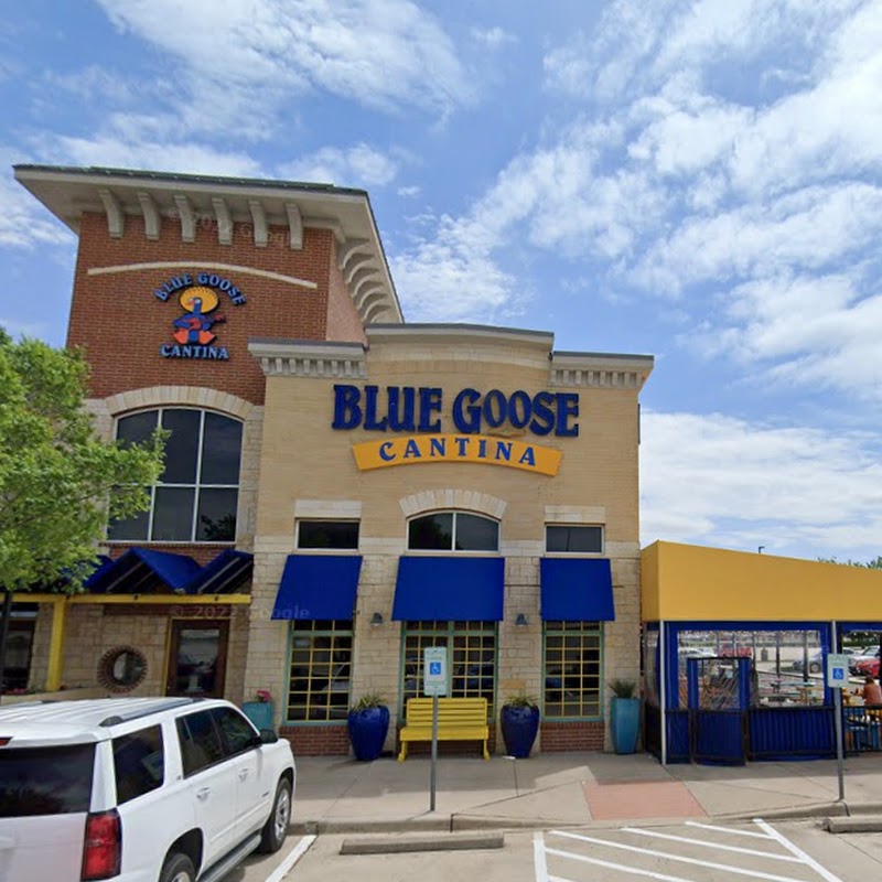 Blue Goose Cantina