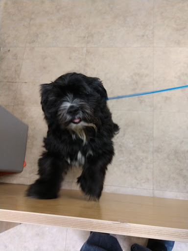 Pet Supply Store «Petco Animal Supplies», reviews and photos, 6280 S Westnedge Ave, Portage, MI 49002, USA