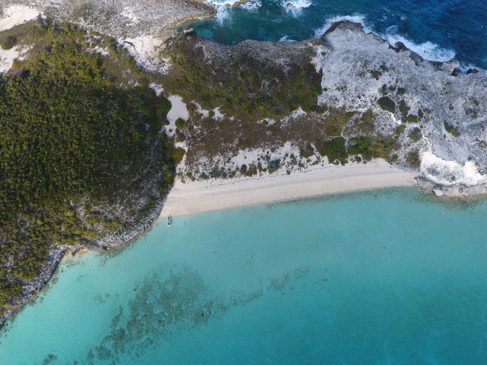 Iguana beach'in fotoğrafı vahşi alan