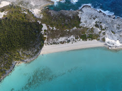 Iguana beach'in fotoğrafı vahşi alan