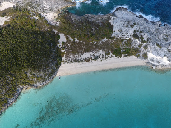 Iguana beach