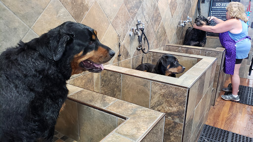 Pet Supply Store «Pet Valu», reviews and photos, 3437 Center Rd, Brunswick, OH 44212, USA