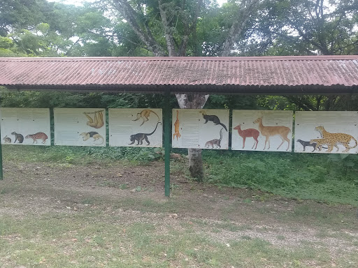 Bosque Protector Cerro Blanco