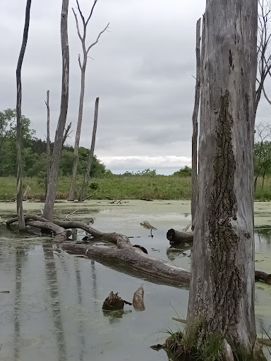 Nature Preserve «Cook County Forest Preserve», reviews and photos, 1700 N Quentin Rd, Palatine, IL 60074, USA