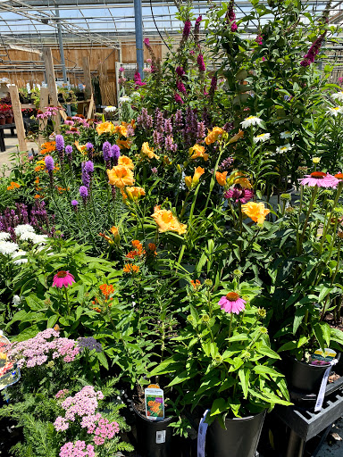 Garden Center «Stauffers of Kissel Hill Home & Garden Store», reviews and photos, 4450 Lincoln Hwy, York, PA 17406, USA