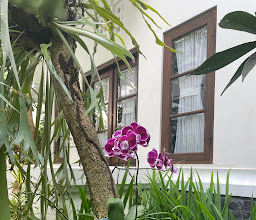Kutus Kutus Clemmie Huis Guest House photo