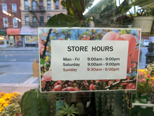 Florist «World of Flowers», reviews and photos, 971 Manhattan Ave, Brooklyn, NY 11222, USA