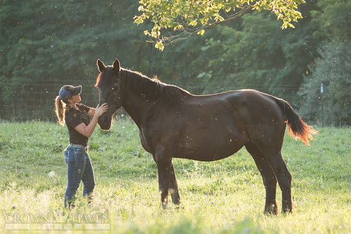 Horse Boarding Stable «Crown Haven Center», reviews and photos, 5282 County Rd W 250 S, Russiaville, IN 46979, USA