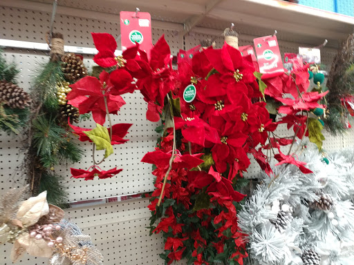 Discount Store «Big Lots», reviews and photos, 775 S Orange Blossom Trail, Apopka, FL 32703, USA