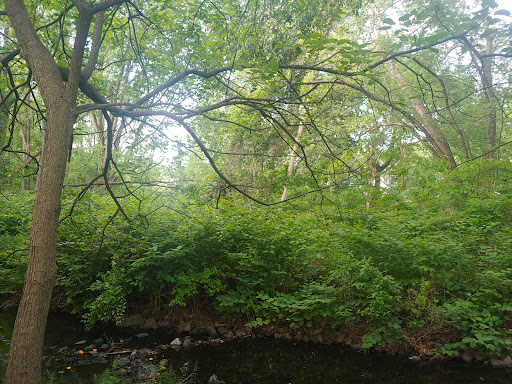 Nature Preserve «Teaneck Creek Conservancy», reviews and photos, 20 Puffin Way, Teaneck, NJ 07666, USA