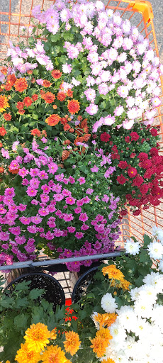 Home Improvement Store «The Home Depot», reviews and photos, 2731 Hartigan Rd, Ingleside, IL 60041, USA