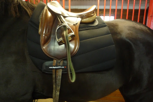EquineLUX Saddle Pads