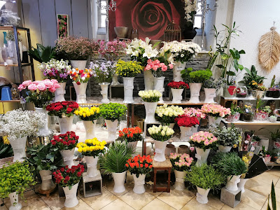 Abondance florale, Les Nymphéas - Dijon / Longvic à Longvic
