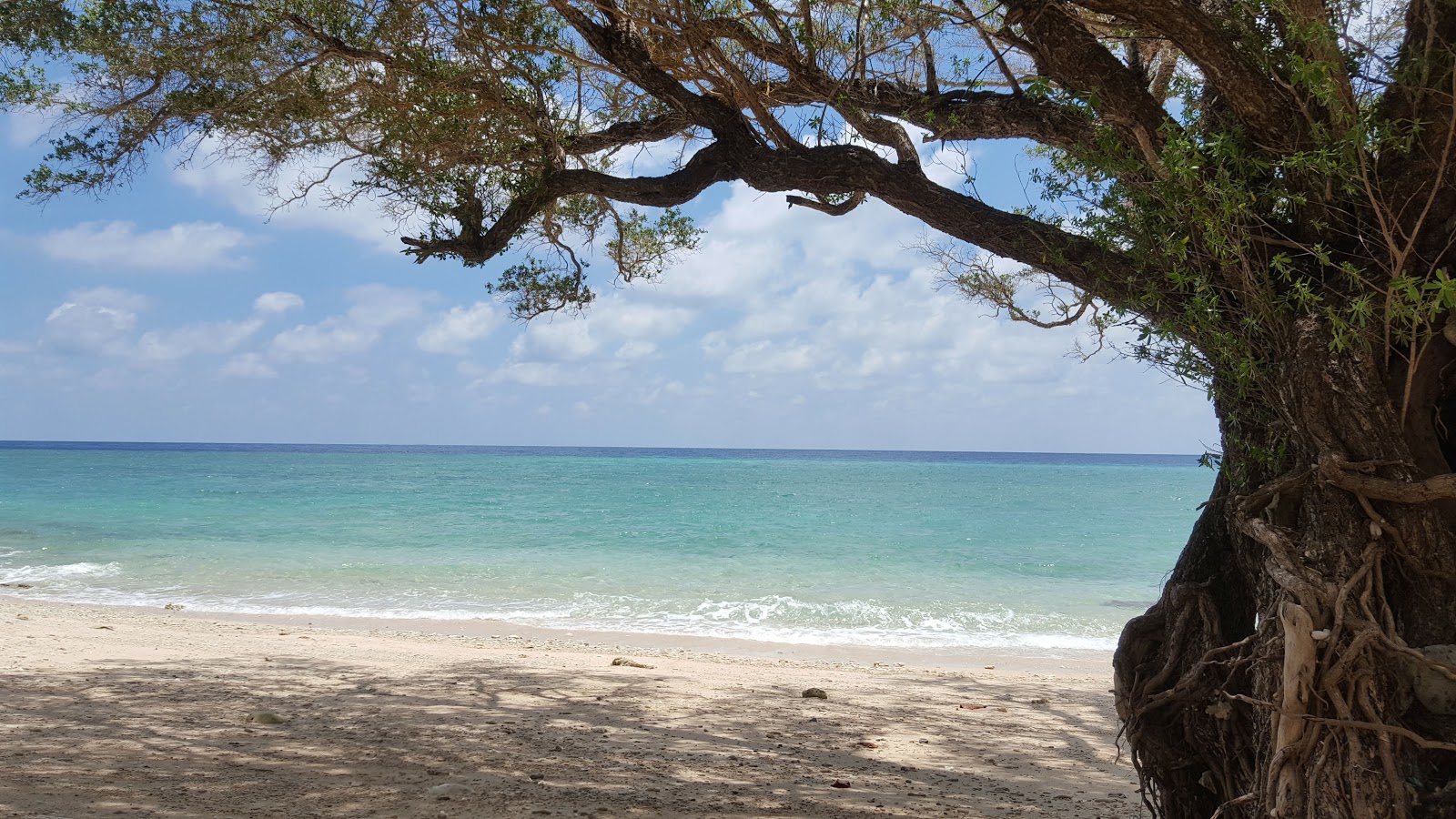 Zdjęcie Hon Cau Beach obszar udogodnień