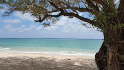 Foto von Hon Cau Beach annehmlichkeitenbereich