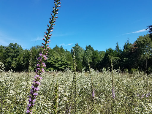 State Park «Long Hunter State Park», reviews and photos, 2910 Hobson Pike, Hermitage, TN 37076, USA