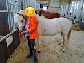 Centre Equestre de Saint-Georges Rozoy-sur-Serre