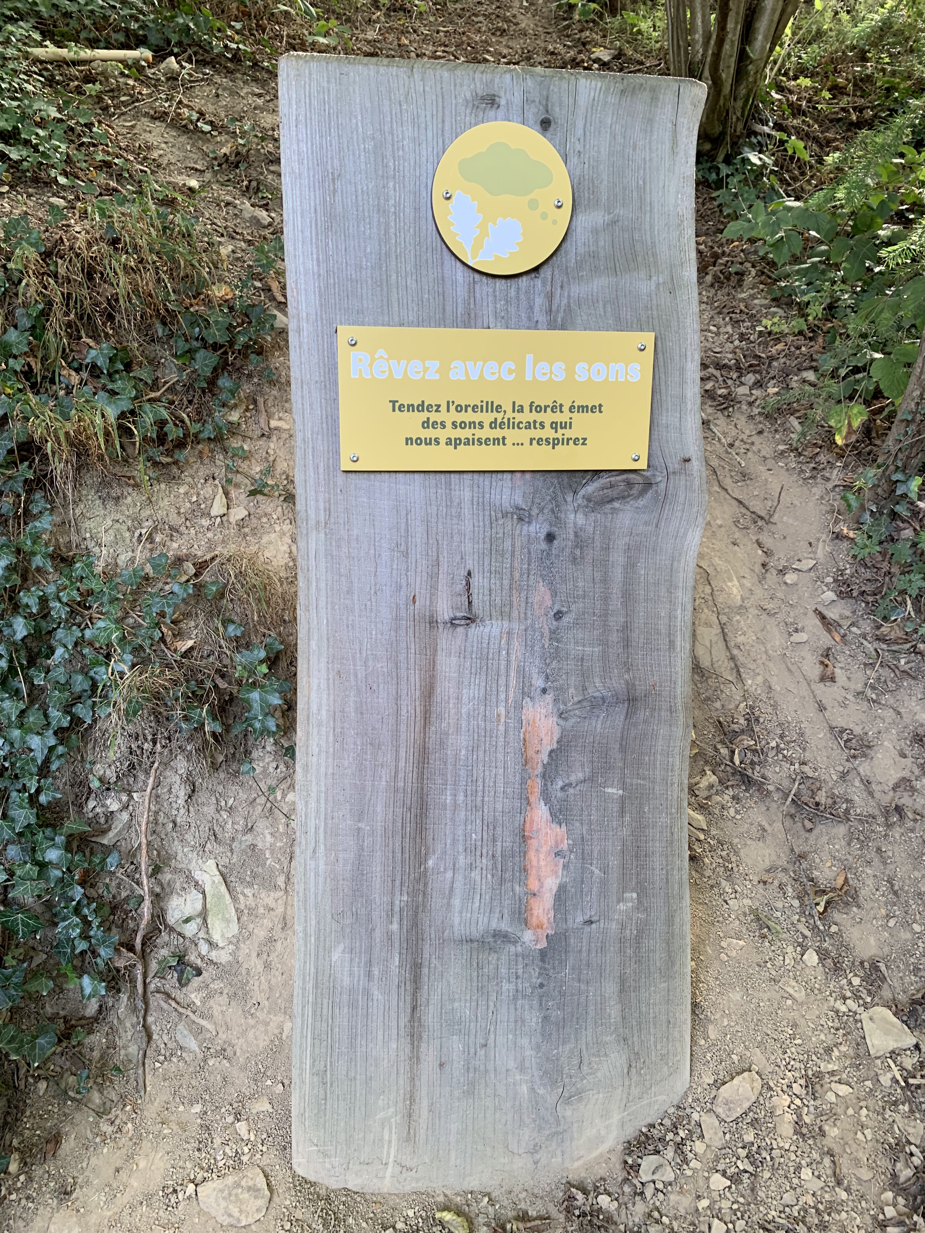 Photo n° 6 de l'avis de Jean-Louis.o fait le 08/10/2023 à 16:00
