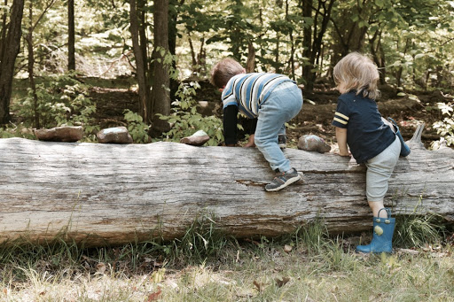 Kew Kids Forest School image 8