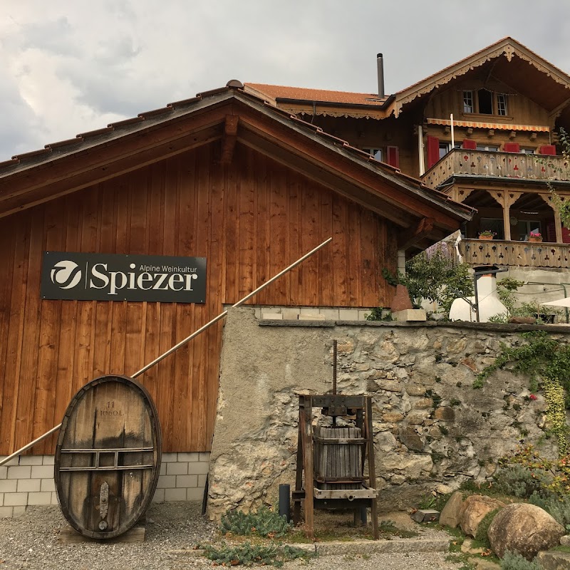 Spiezer Alpine Weinkultur – Rebbau Spiez Genossenschaft